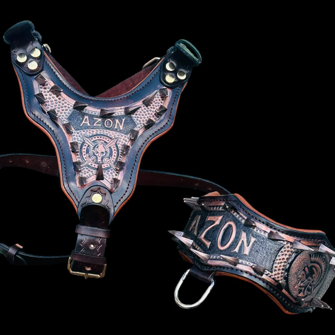 Handmade copper dog collar and harness set from A&C Dog Collars, featuring durable metal hardware and adjustable fit.