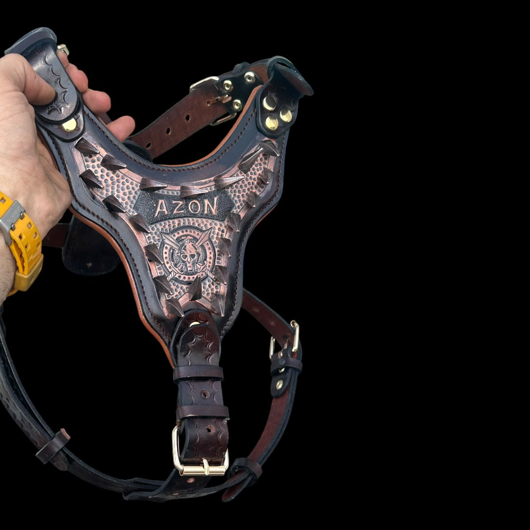 Handmade copper dog collar and harness set from A&C Dog Collars, featuring durable copper hardware and stylish design.