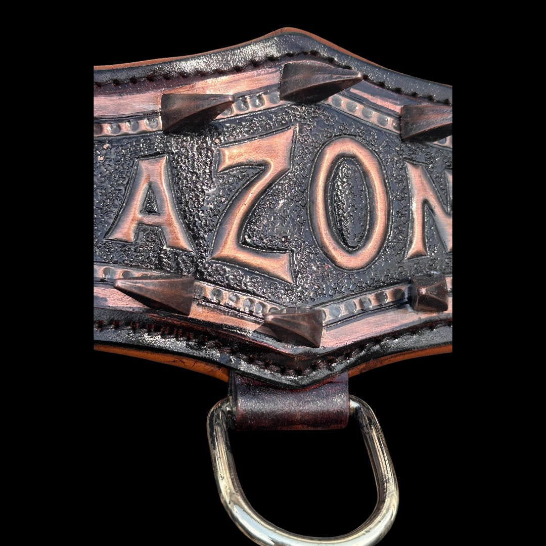 Handmade copper dog collar and harness set from A&C Dog Collars, featuring adjustable straps and polished copper accents.