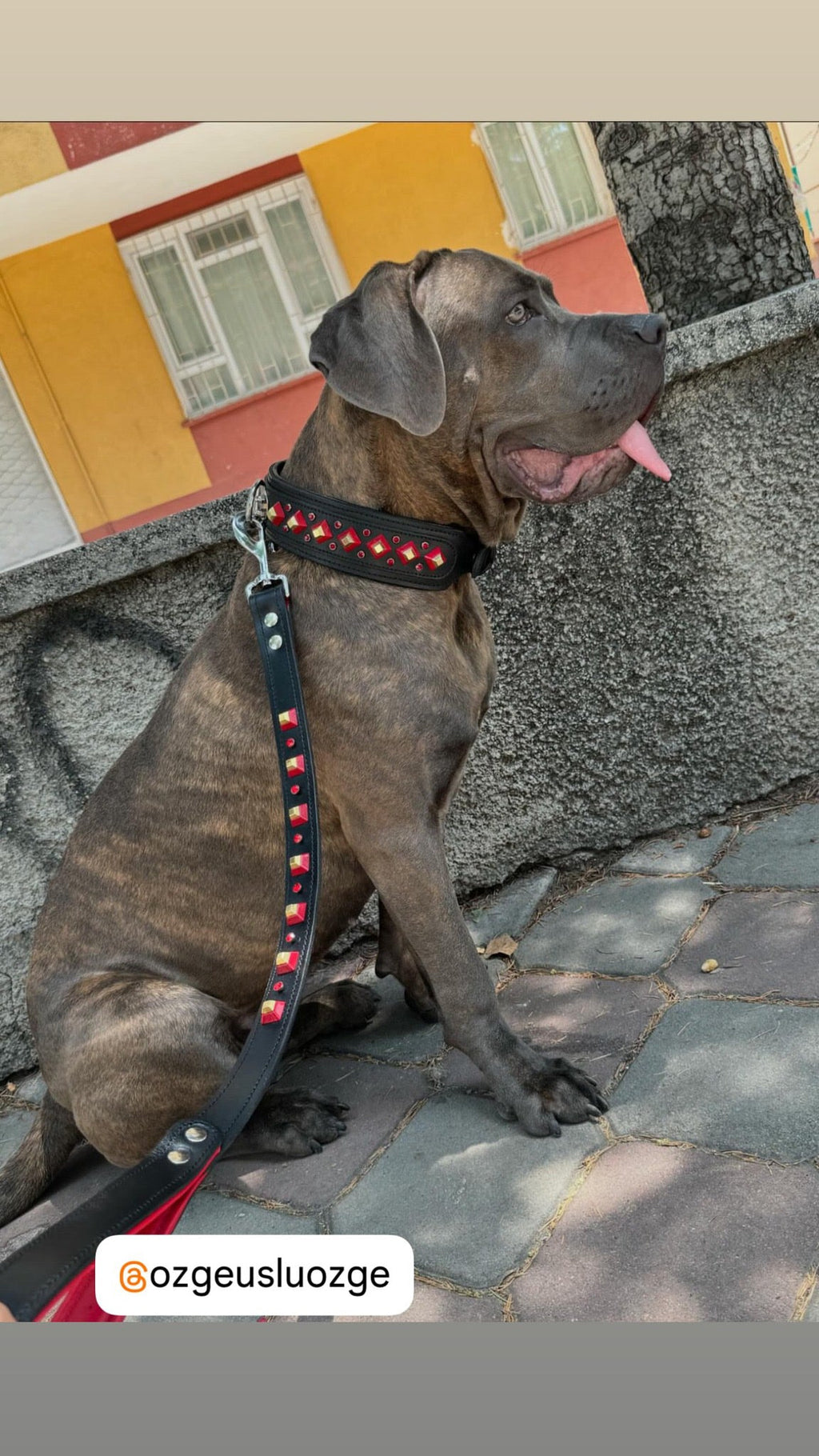 Handmade Black Leather Dog Collar & Leash Set with Red Crystal Stones – Luxury Wide Design - A&C Dog Collars