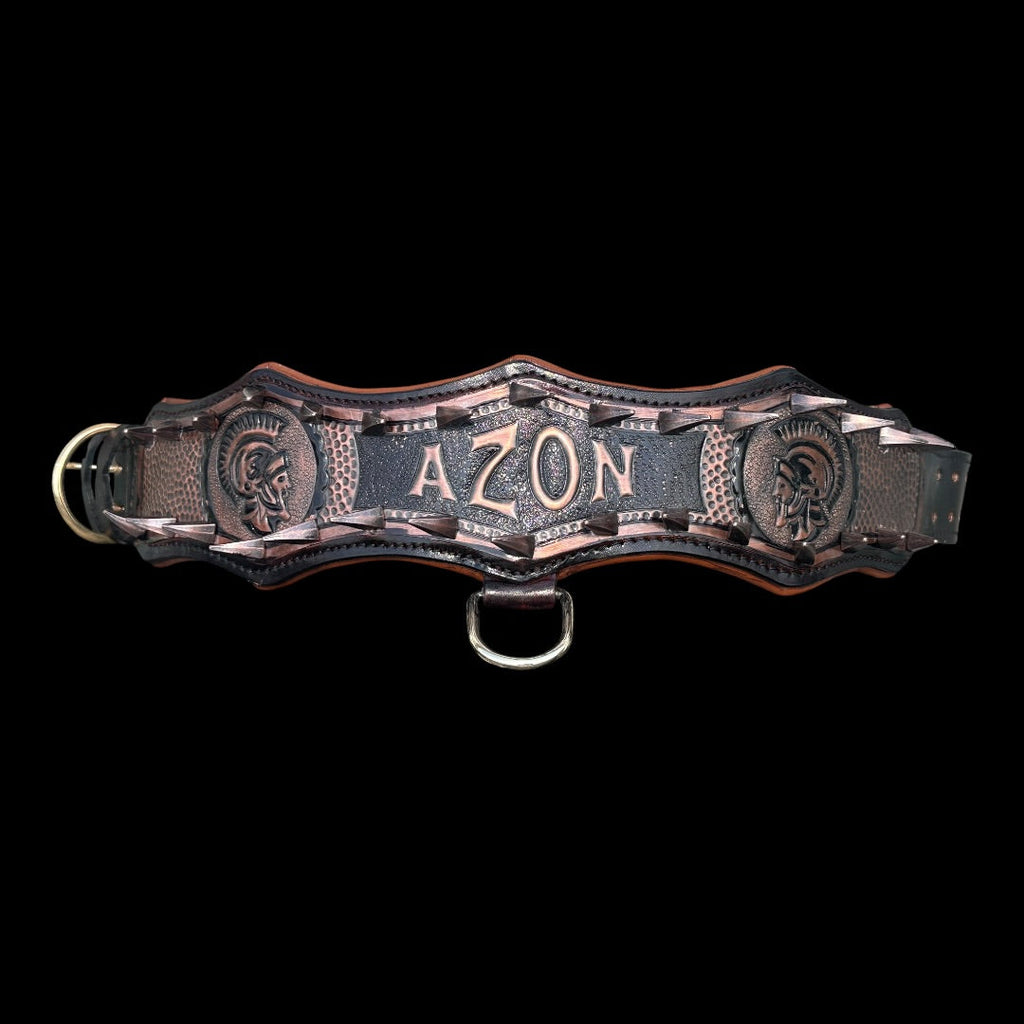 Handmade copper dog collar and harness set from A&C Dog Collars featuring adjustable straps and metal hardware.