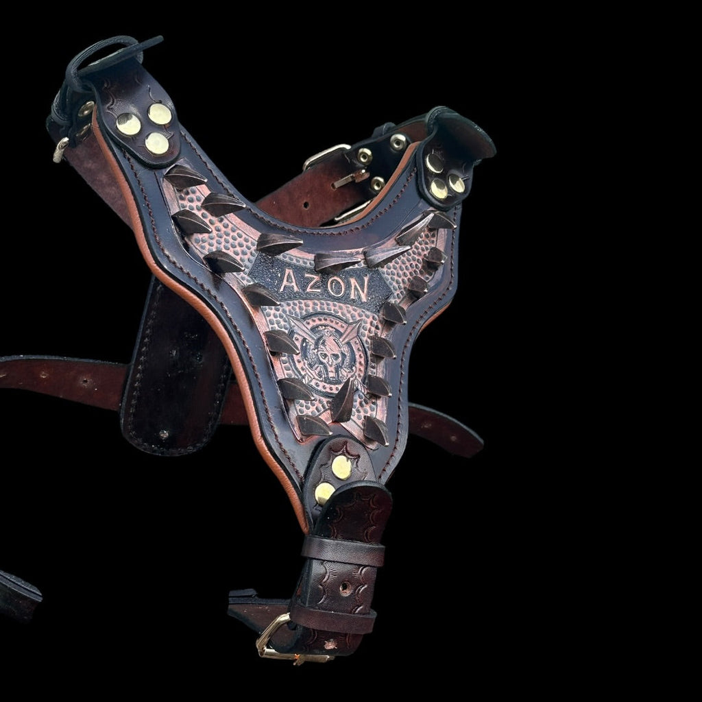 Handmade copper dog collar and harness set by A&C Dog Collars, featuring adjustable straps and durable metal hardware.