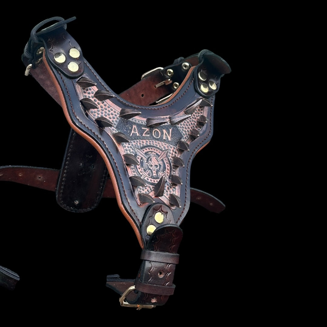 Handmade copper dog collar and harness set by A&C Dog Collars, featuring adjustable straps and durable metal hardware.