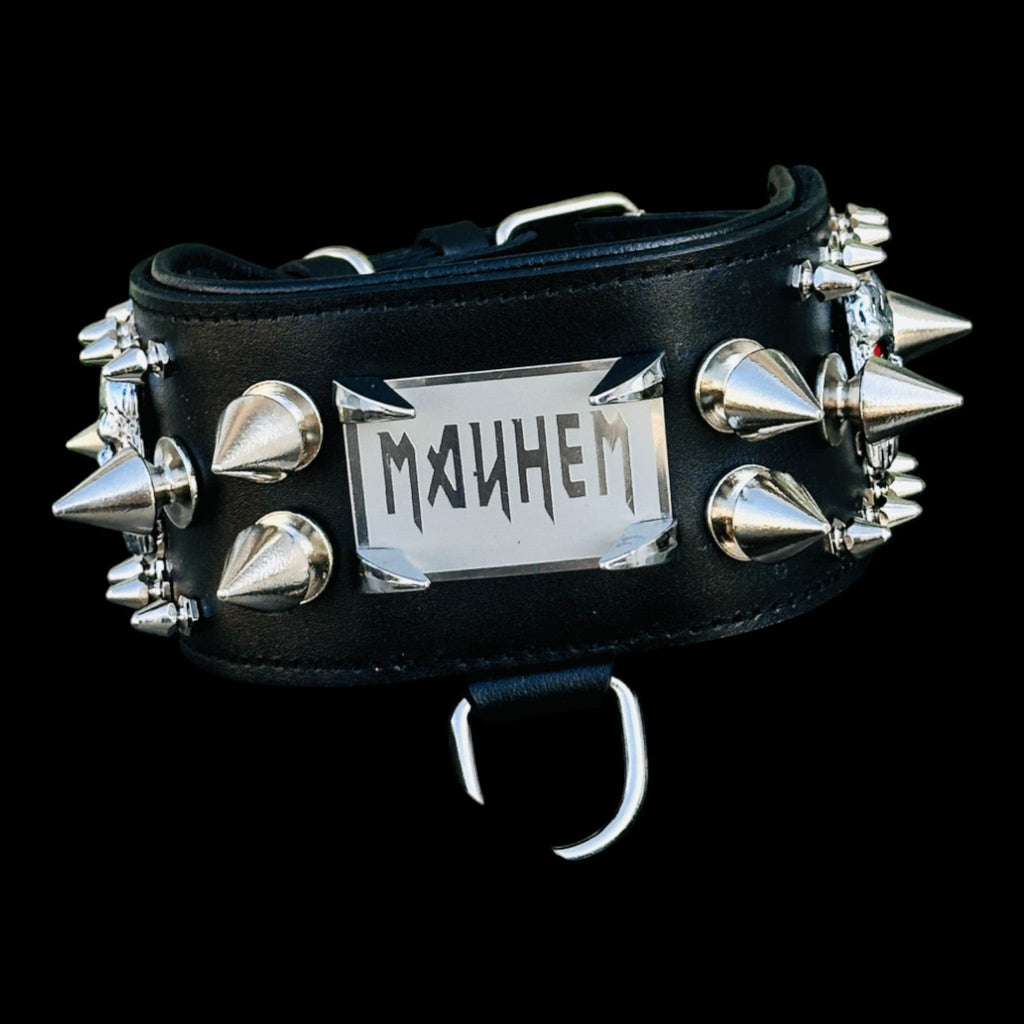 Heavy-duty spiked dog collar for large breeds like Cane Corso