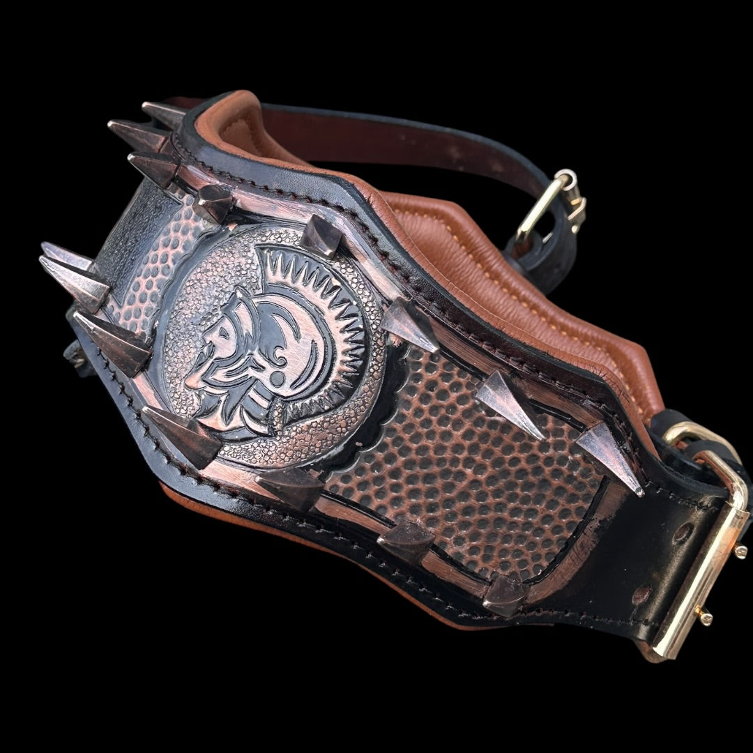 Handmade copper dog collar and harness set from A&C Dog Collars, featuring adjustable straps and durable metal hardware.