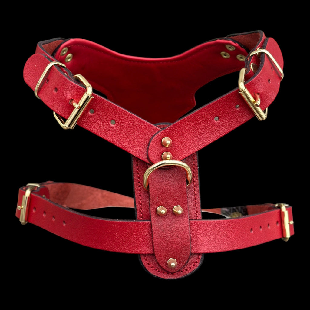 InfernoSkull™ Royale – Red Buffalo Leather Dog Harness with Gold Skull Emblem - A&C Dog Collars
