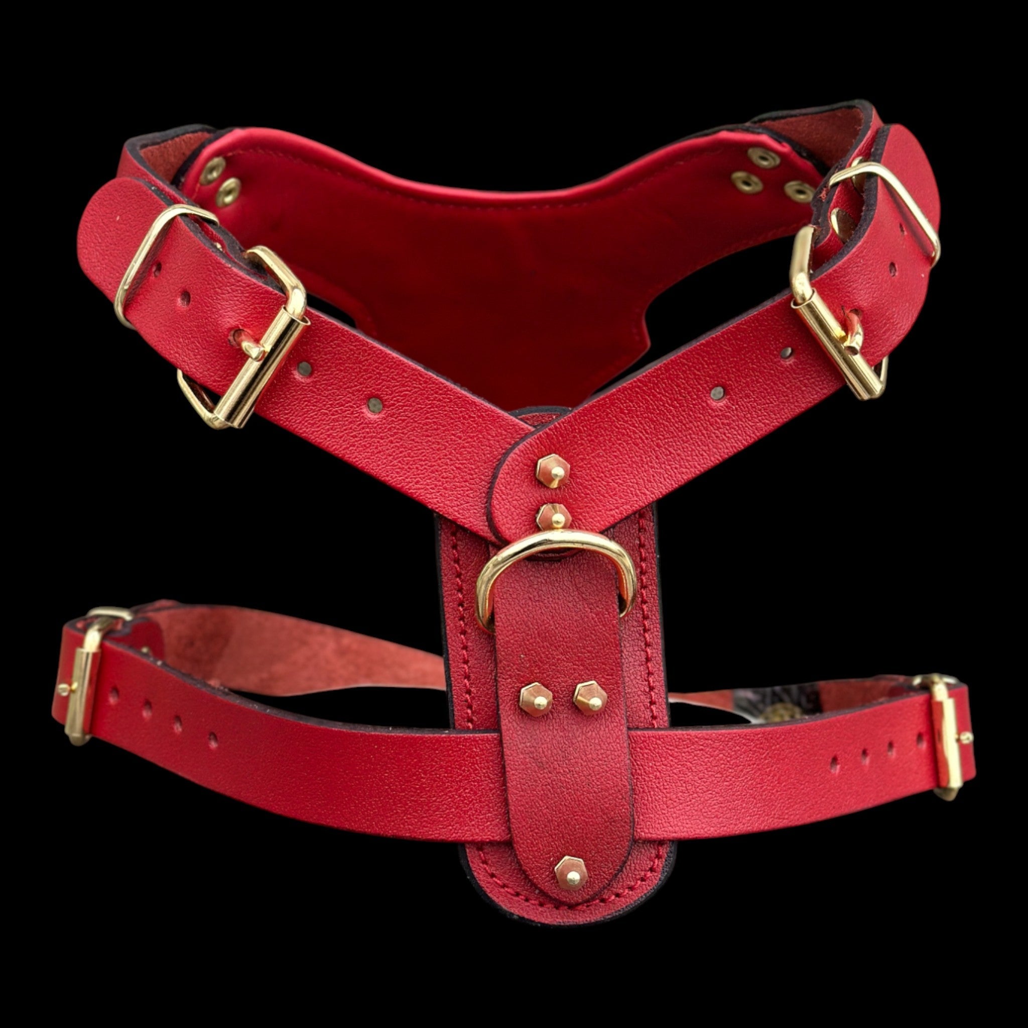 InfernoSkull™ Royale – Red Buffalo Leather Dog Harness with Gold Skull Emblem - A&C Dog Collars