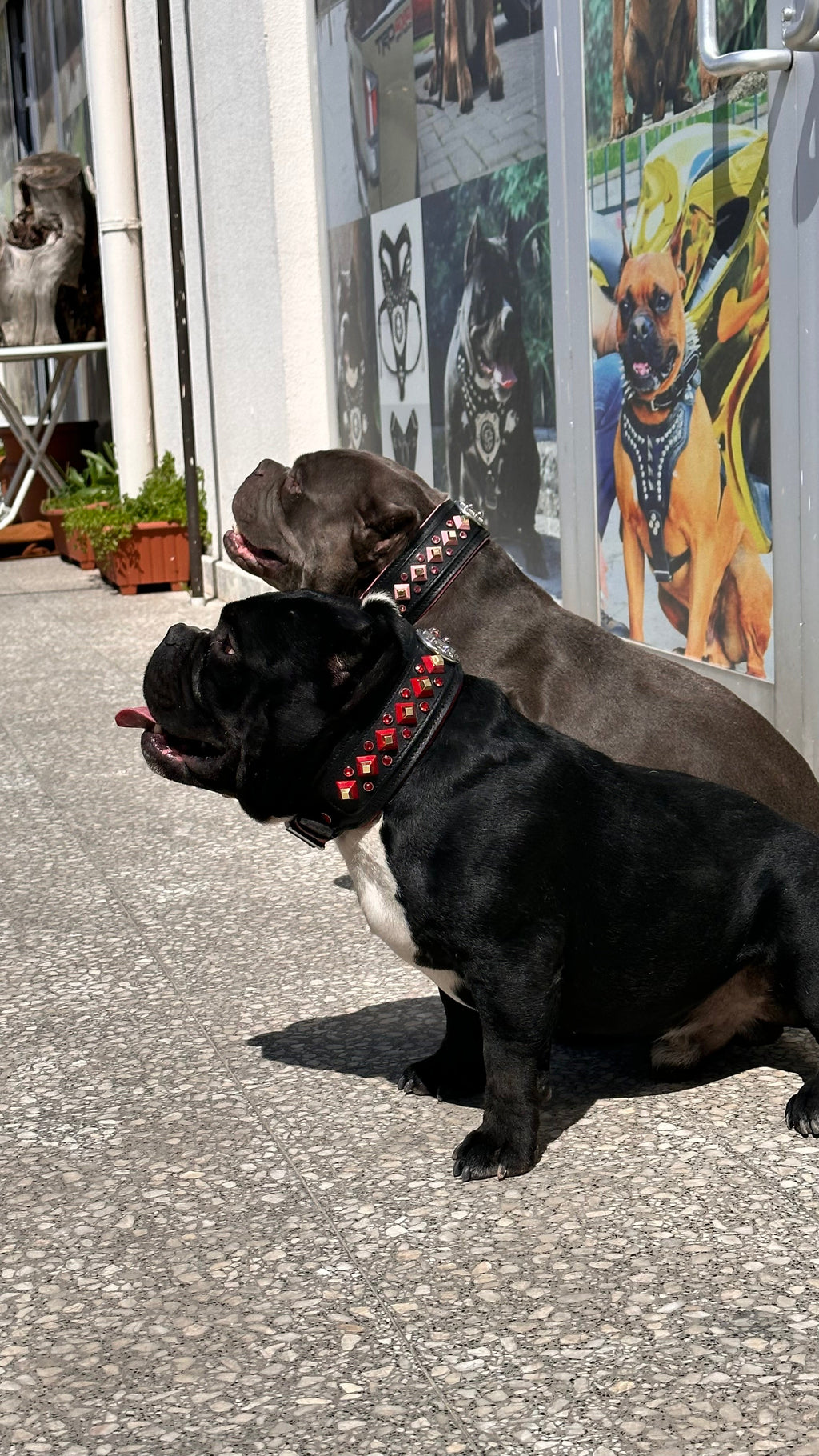 Handmade Black Leather Dog Collar & Leash Set with Red Crystal Stones – Luxury Wide Design - A&C Dog Collars