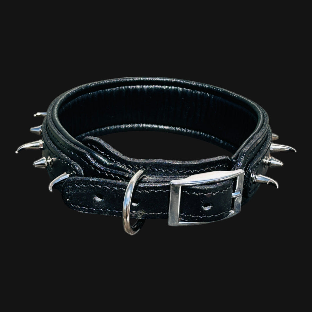 Handmade black leather dog collar with ivory-style spikes for large breeds - A&C Dog Collars