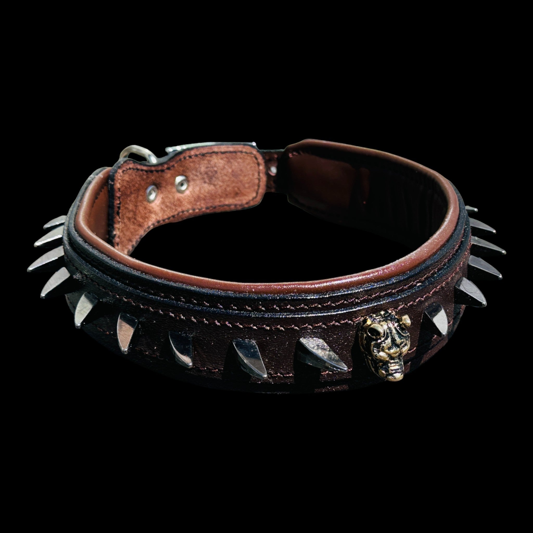 Handmade American Bully head leather dog collar with ivory spikes - A&C Dog Collars