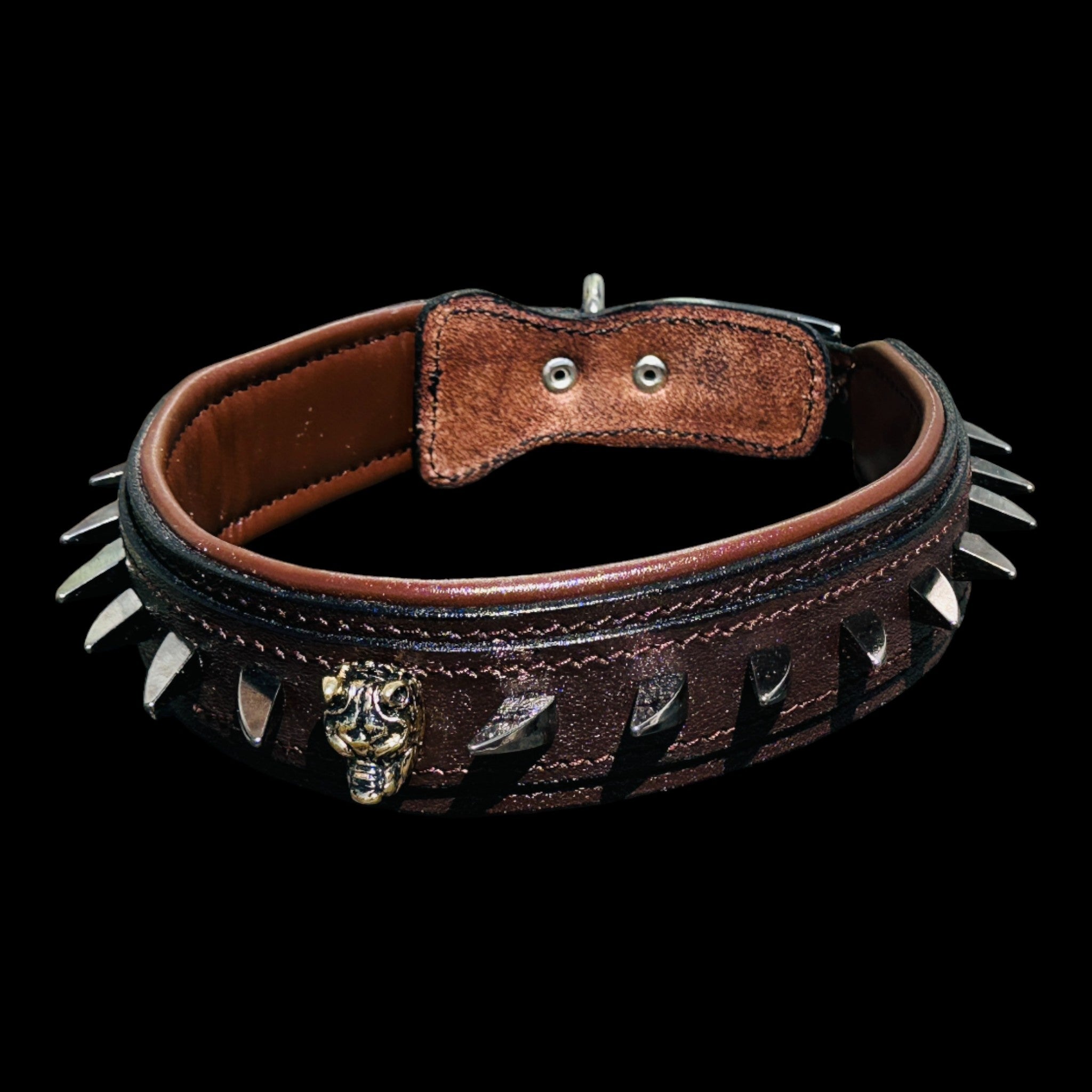 Handmade American Bully head leather dog collar with ivory spikes - A&C Dog Collars