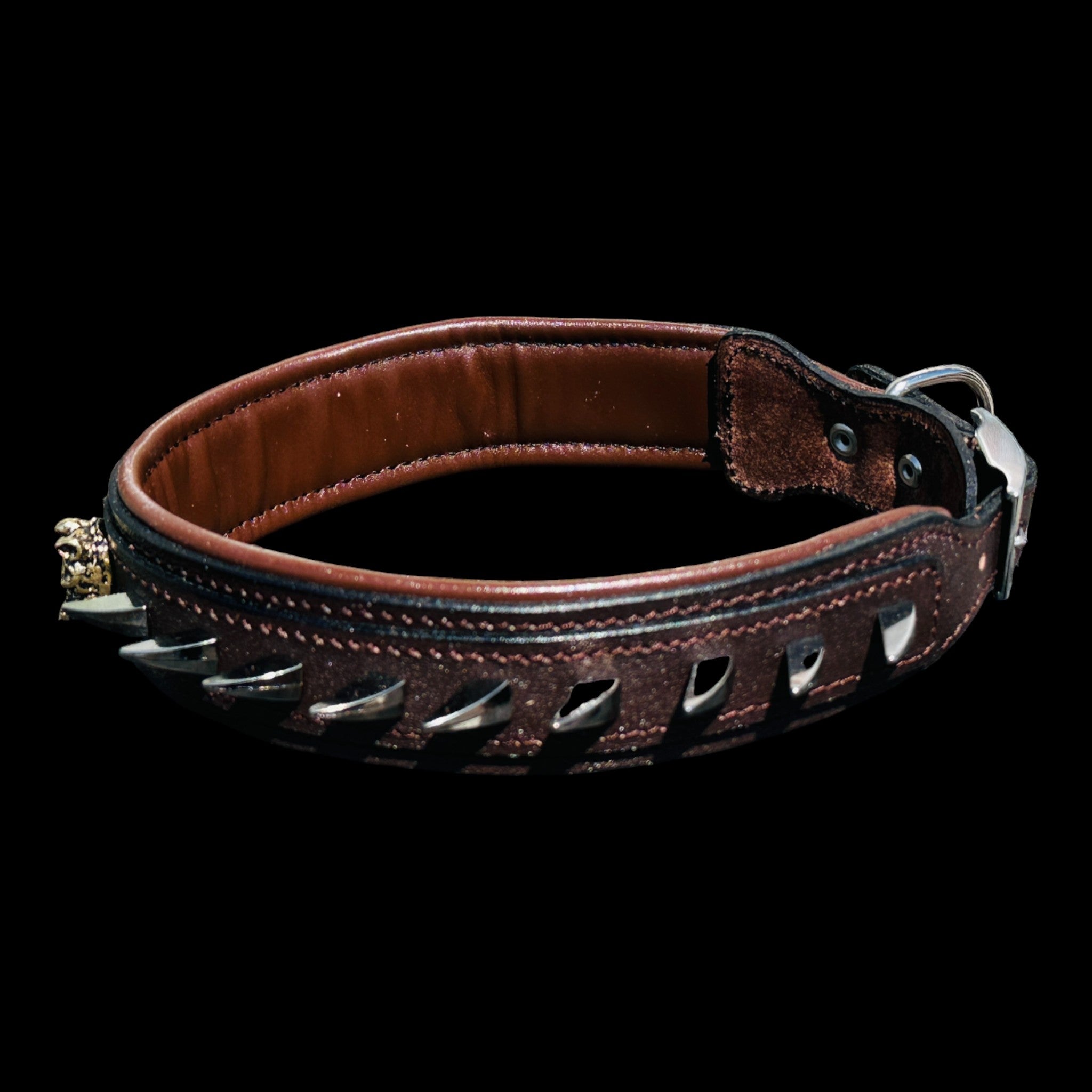 Handmade American Bully head leather dog collar with ivory spikes - A&C Dog Collars