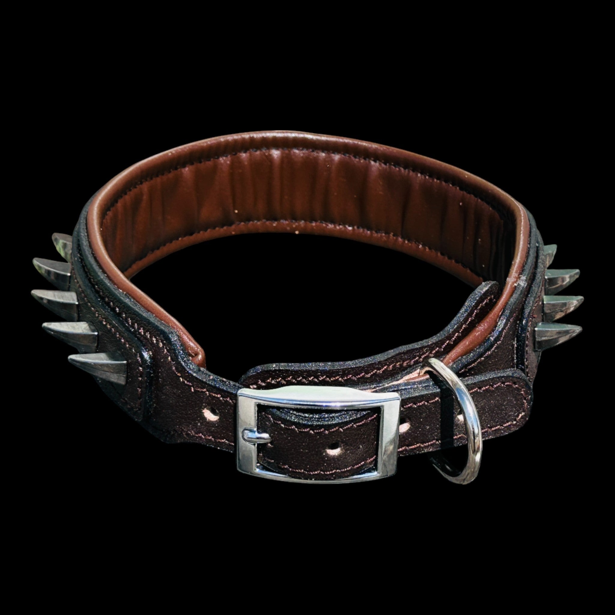 Handmade American Bully head leather dog collar with ivory spikes - A&C Dog Collars