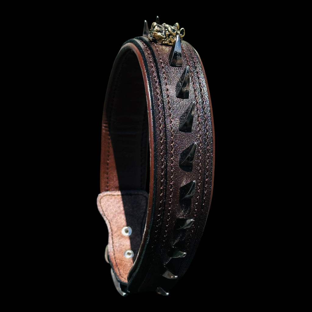 Handmade American Bully head leather dog collar with ivory spikes - A&C Dog Collars
