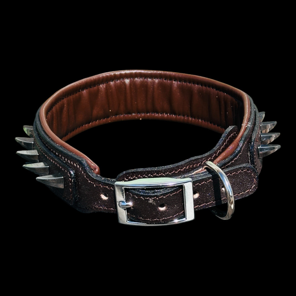 Handmade American Bully head leather dog collar with ivory spikes - A&C Dog Collars
