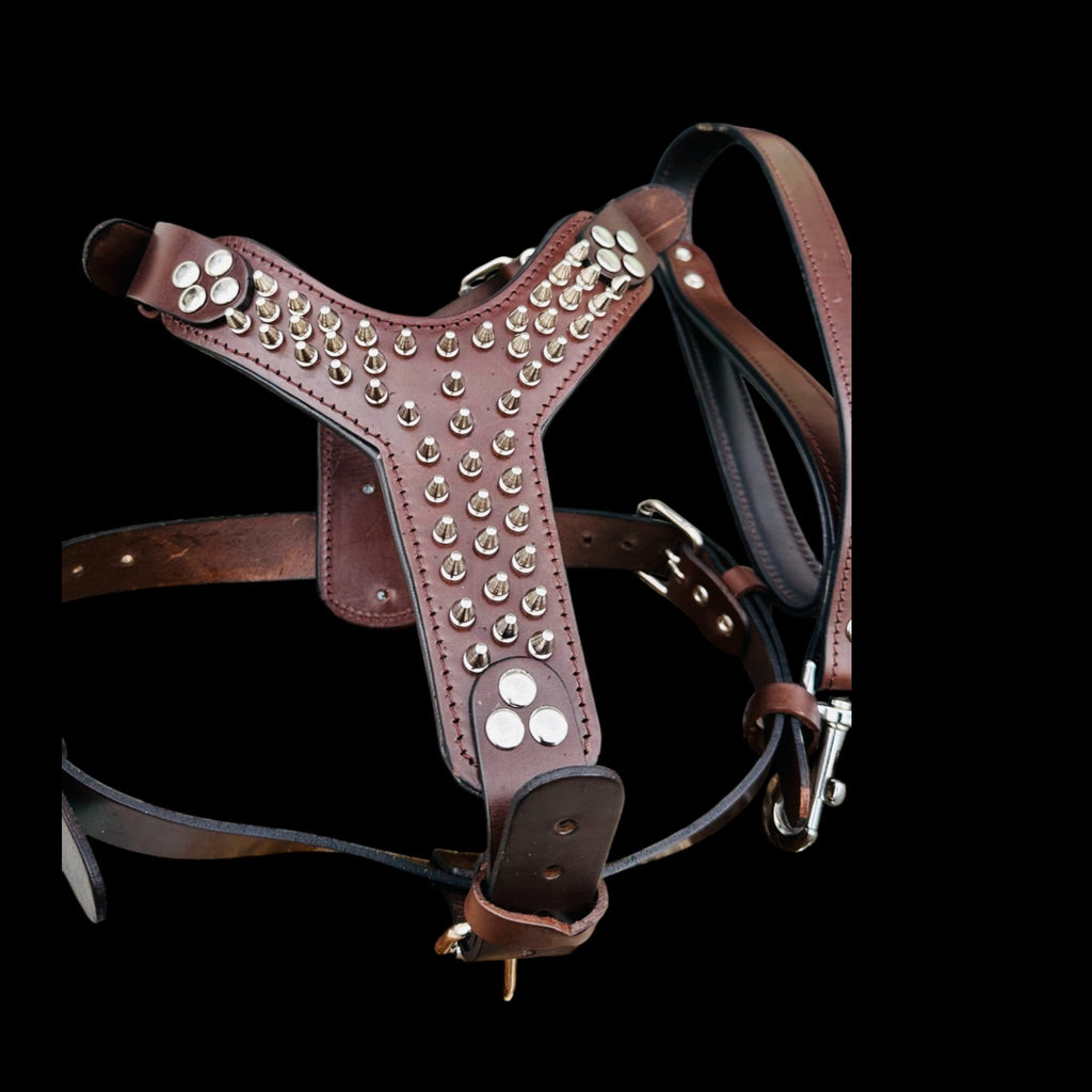 Handmade Spiked Dog Collar, Harness & Leash Set – Buffalo Leather for Large Breeds - A&C Dog Collars