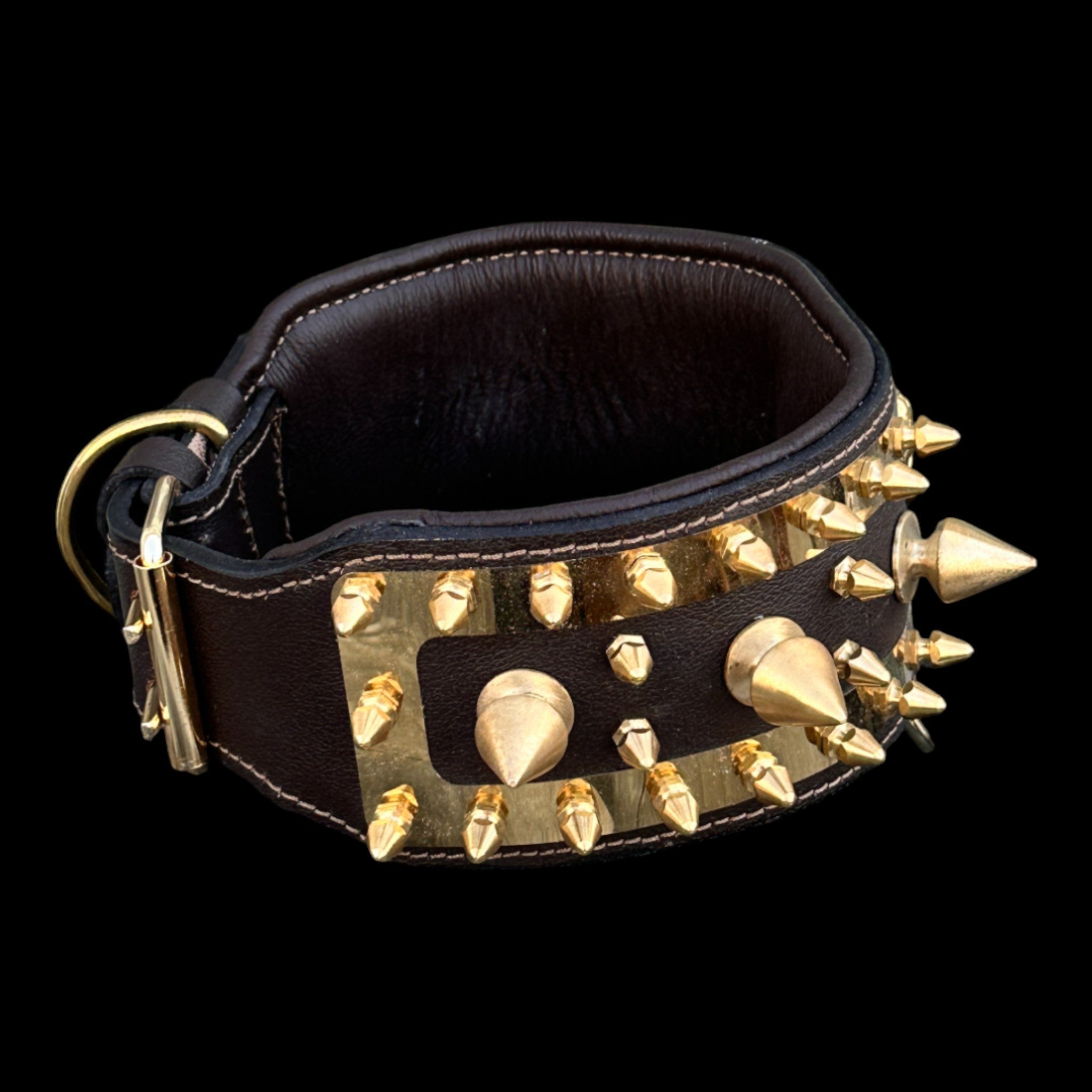 Golden Punisher Elite Dog Collar - A&C Dog Collars