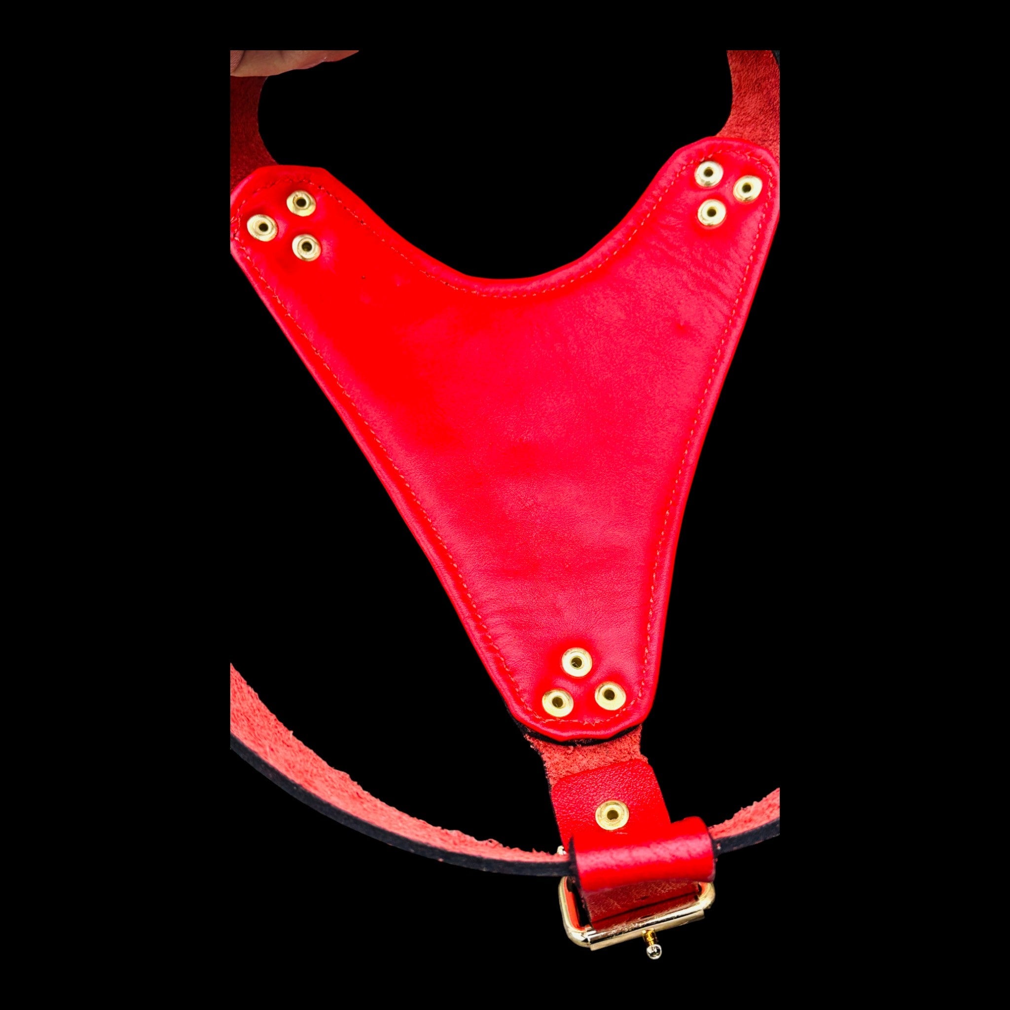 Handmade Red Leather Dog Harness with Punisher Logo - A&C Dog Collars