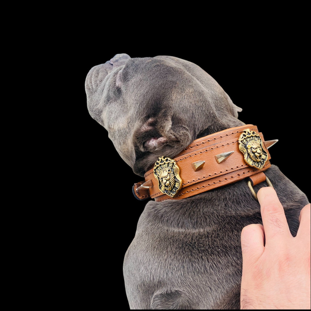 Handmade lion emblem leather dog collar for large breeds - A&C Dog Collars