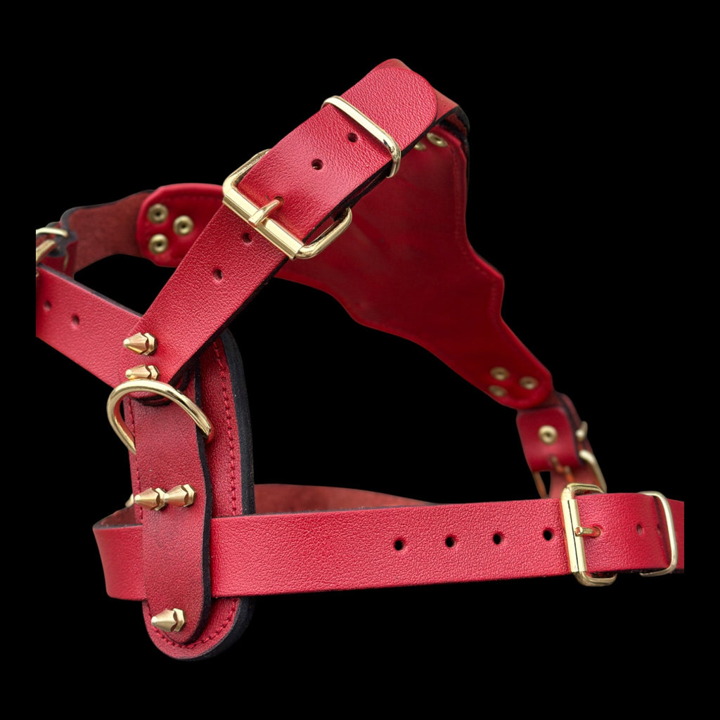 InfernoSkull™ Royale – Red Buffalo Leather Dog Harness with Gold Skull Emblem - A&C Dog Collars