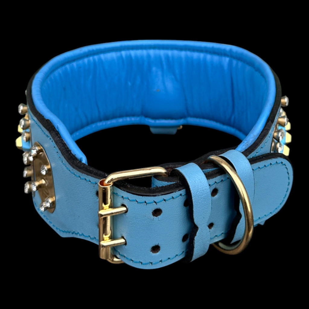 Gold-plated lion logo collar for Cane Corso and Kangal.