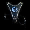 Handmade buffalo leather dog harness with Pitbull steel emblem