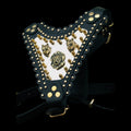 Luxury Handmade Dog Harness with Bully Head & Lion Logo – Black Leather, Gold Spikes, Heavy Duty for Large Breeds - A&C Dog Collars