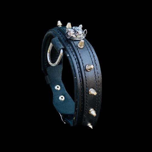 Side angle of black leather Bully head dog collar with gold protective spikes and steel D-ring