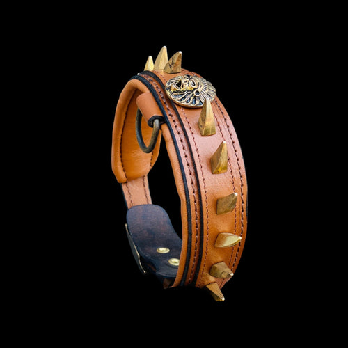 Front view of handmade brown leather dog collar with Native American logo and gold ivory spikes.
