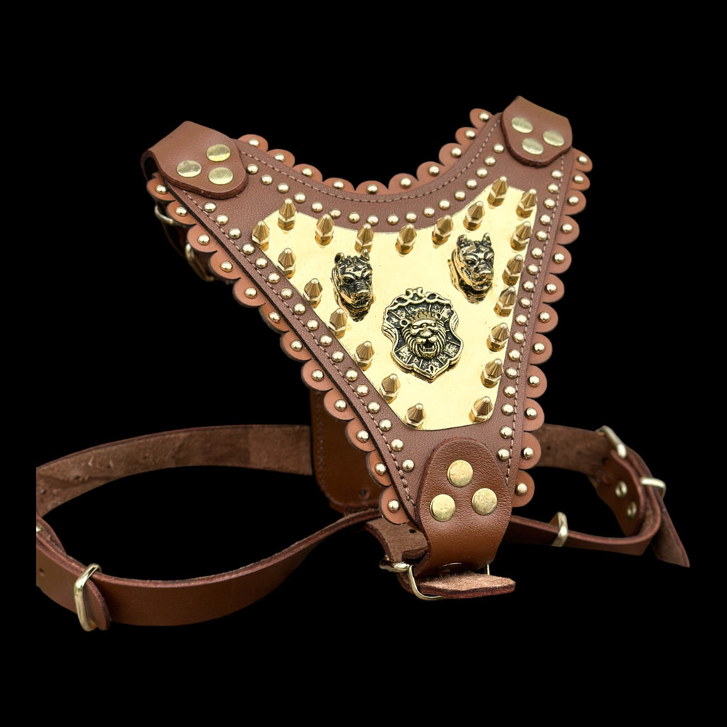 Luxury Handmade Brown Leather Dog Chest Harness with Gold Steel Plate, Bully Head & Lion Logo – Perfect for Cane Corso, Rottweiler, Kangal, Doberman, Bully, Malinois & Large Breeds - A&C Dog Collars