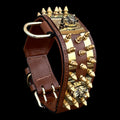 6 cm (2.36 inch) gold American Bully head dog collar with spikes
