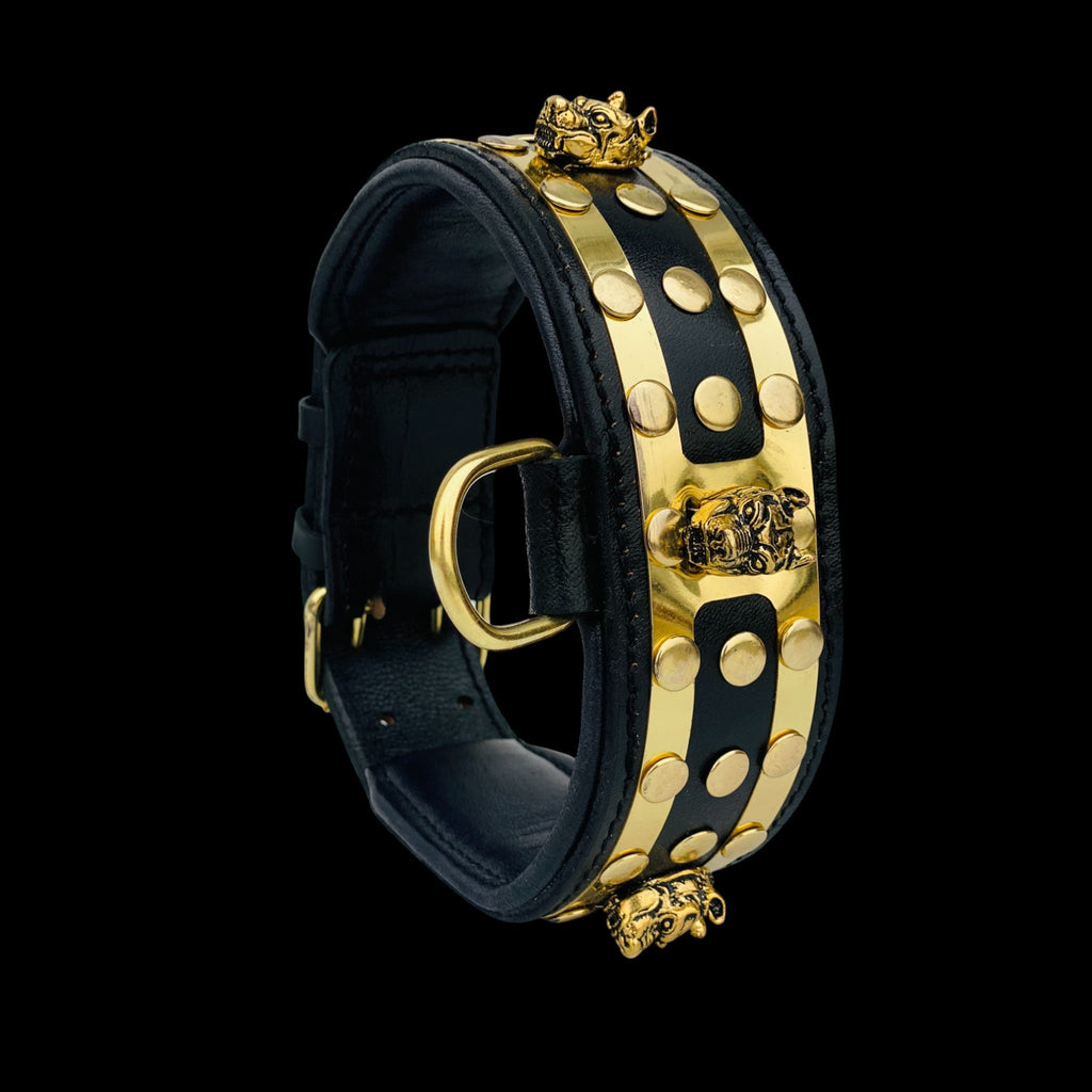 Side view of Bully King Gold Edition collar designed for large breeds such as Kangal, Doberman, and American Bully