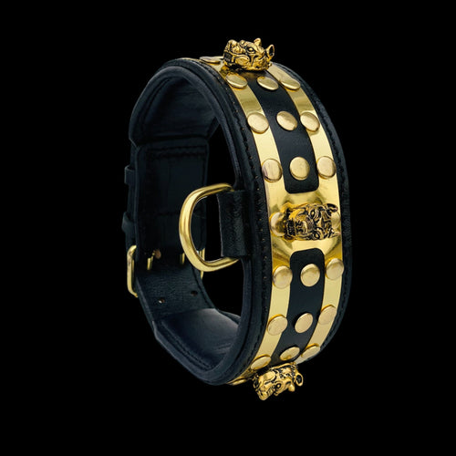 Side view of Bully King Gold Edition collar designed for large breeds such as Kangal, Doberman, and American Bully