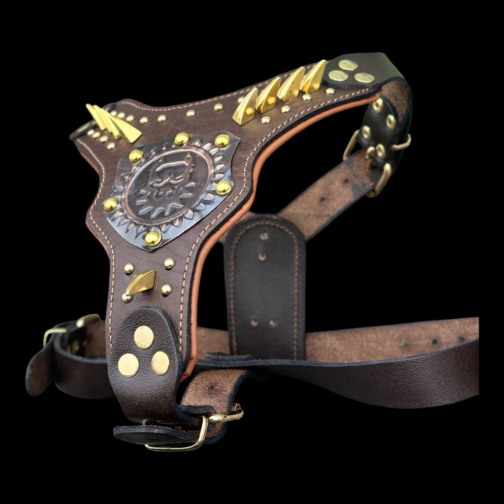 Brown Leather Dog Harness with Copper Engraved Logo & Gold Spikes – Handmade Chest Harness for Large Breeds - A&C Dog Collars
