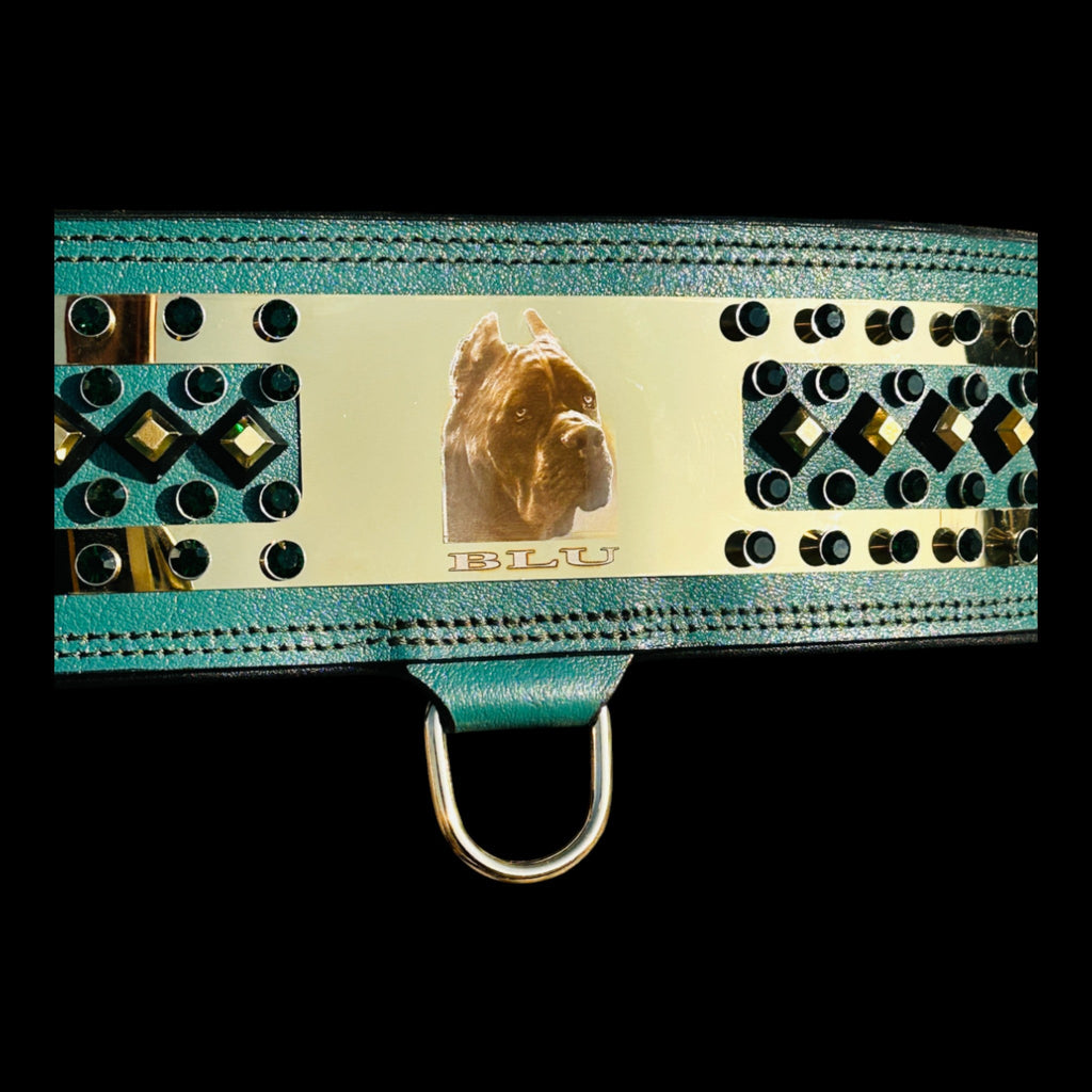 American Bully handmade engraved gold dog collar