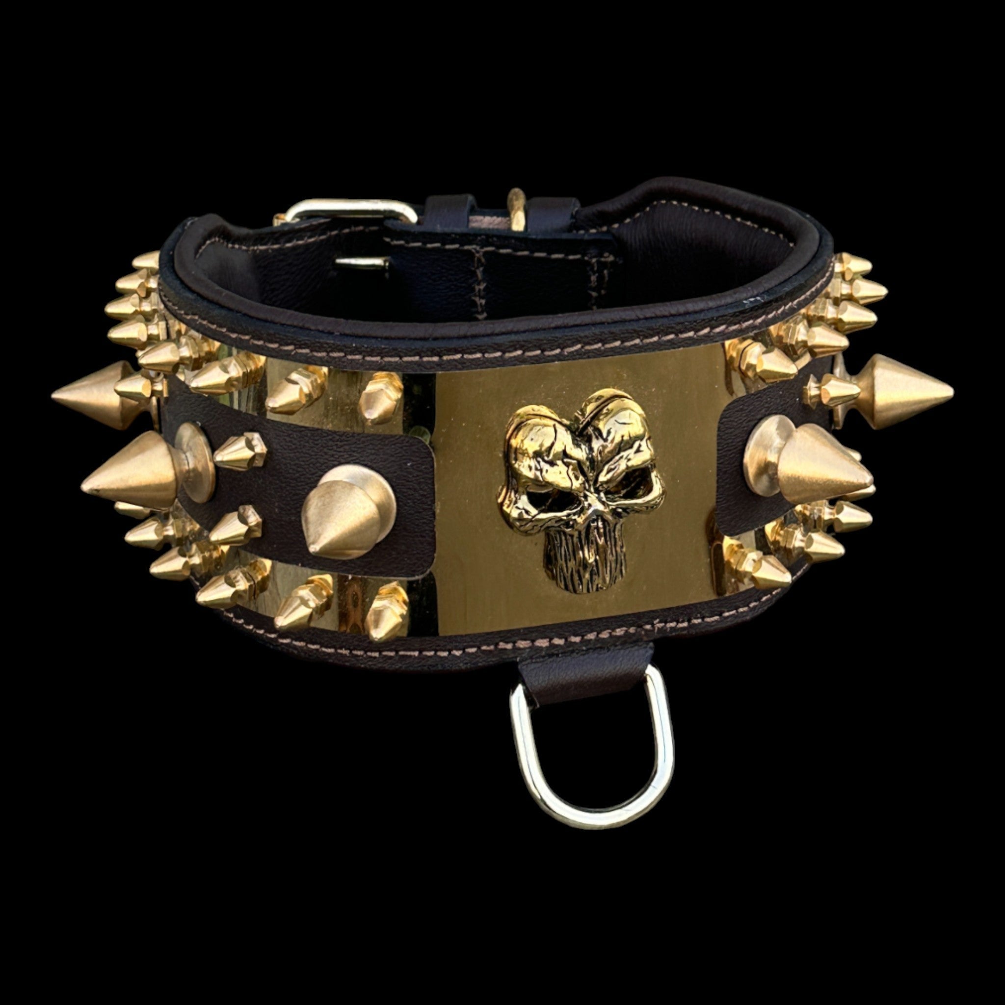 Golden Punisher Elite Dog Collar - A&C Dog Collars