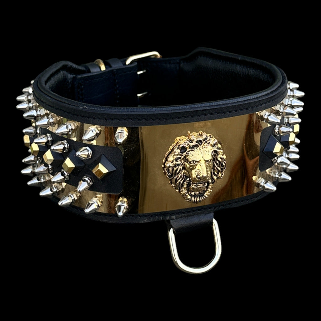 Gold lion emblem armor collar for Cane Corso