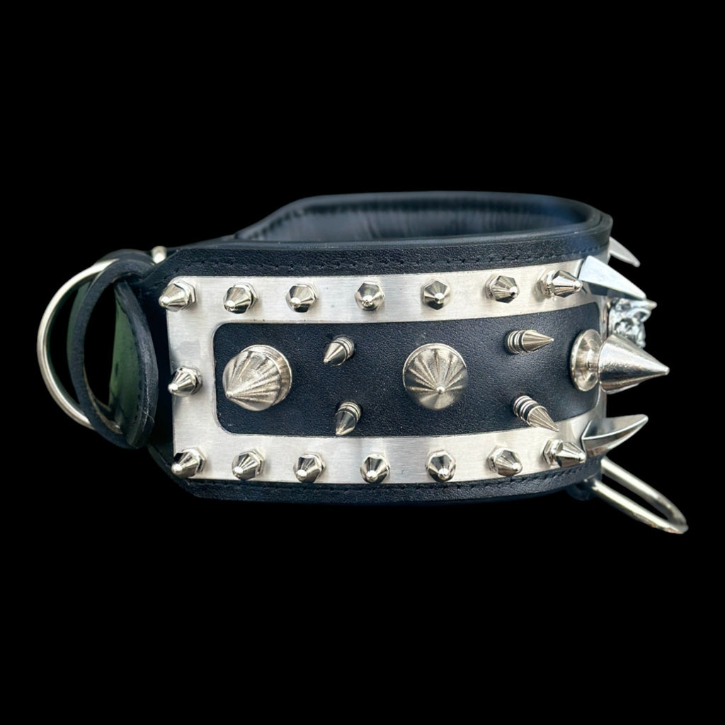 Cane Corso chrome spike leather dog collar