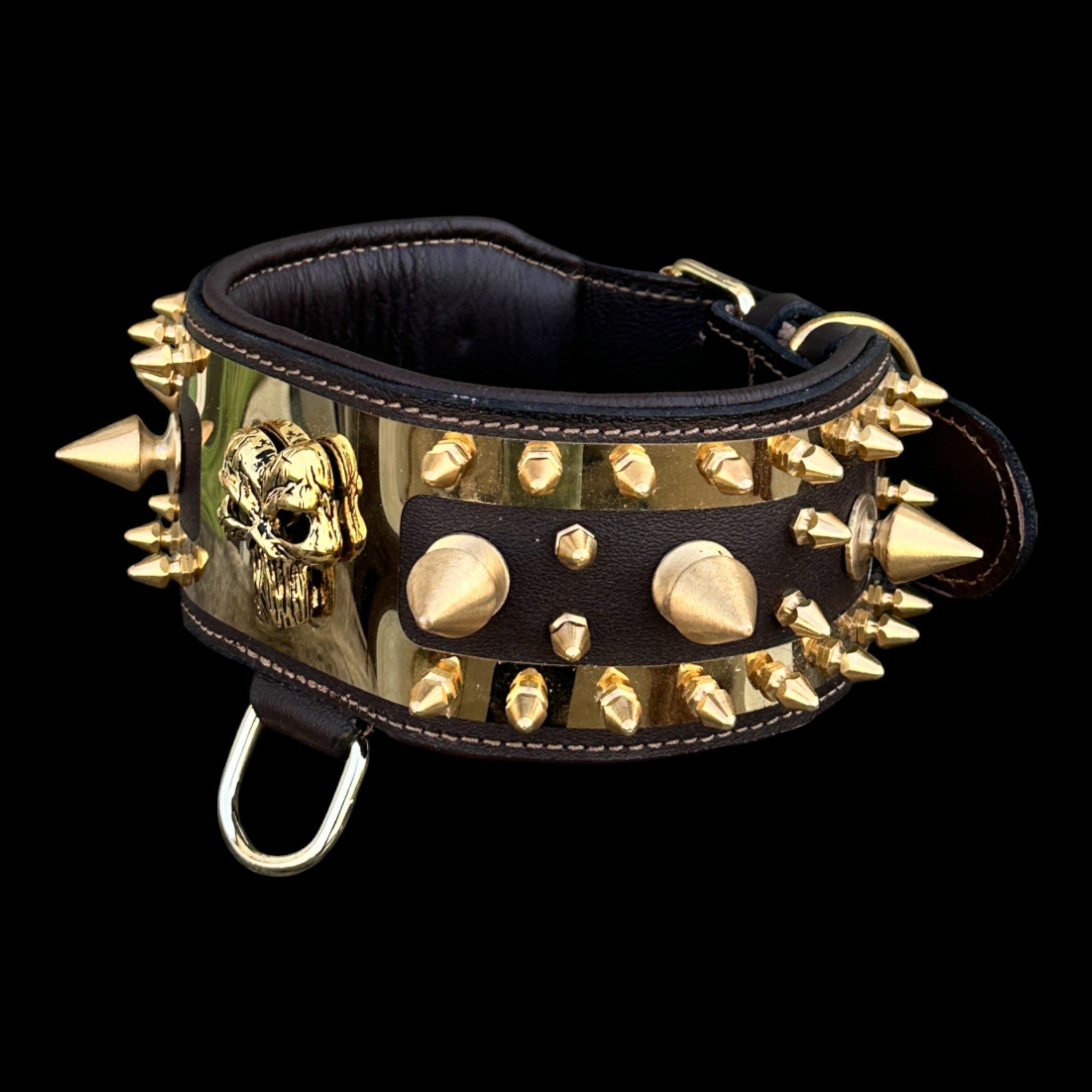 Golden Punisher Elite Dog Collar - A&C Dog Collars