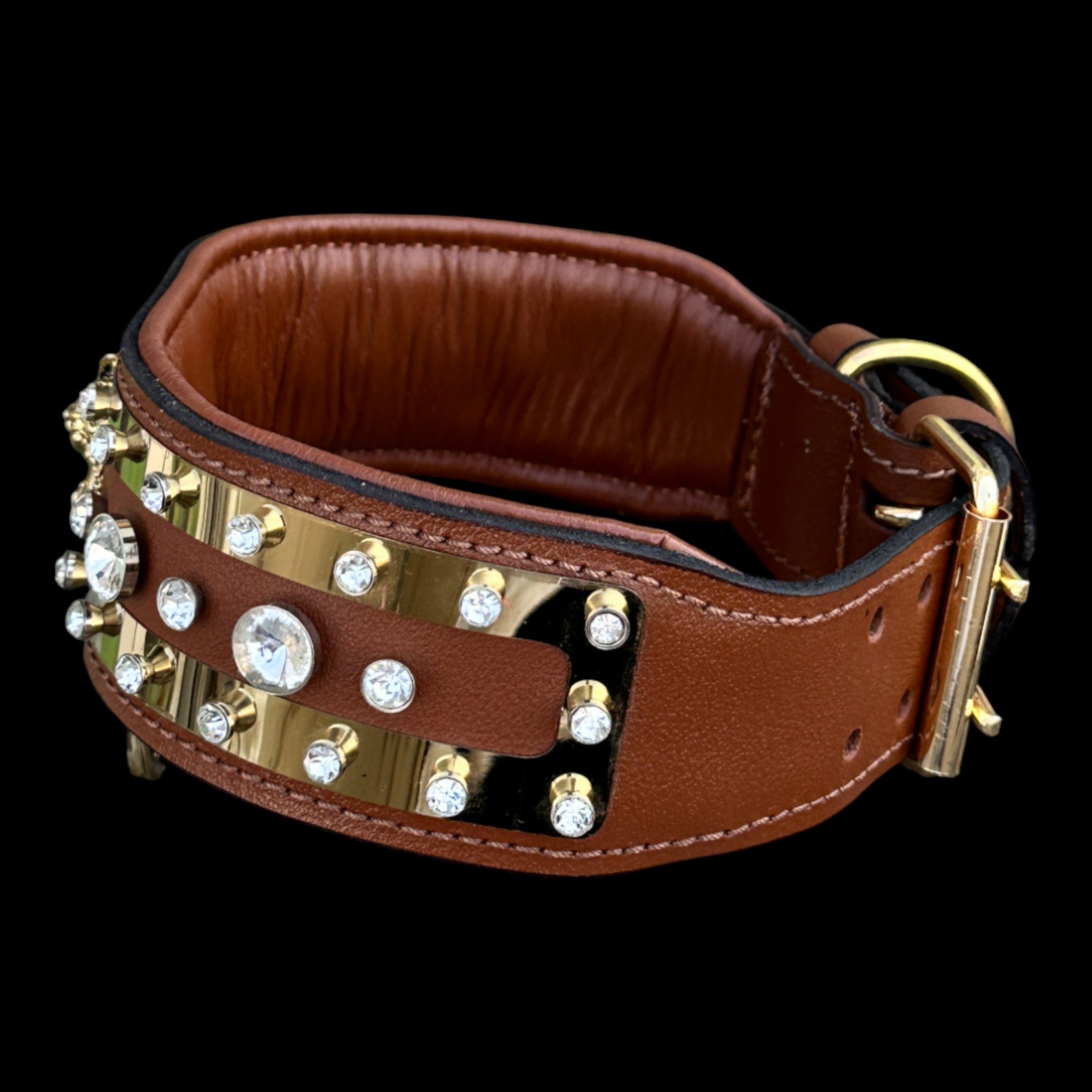 Premium buffalo leather gold dog collar for strong breeds