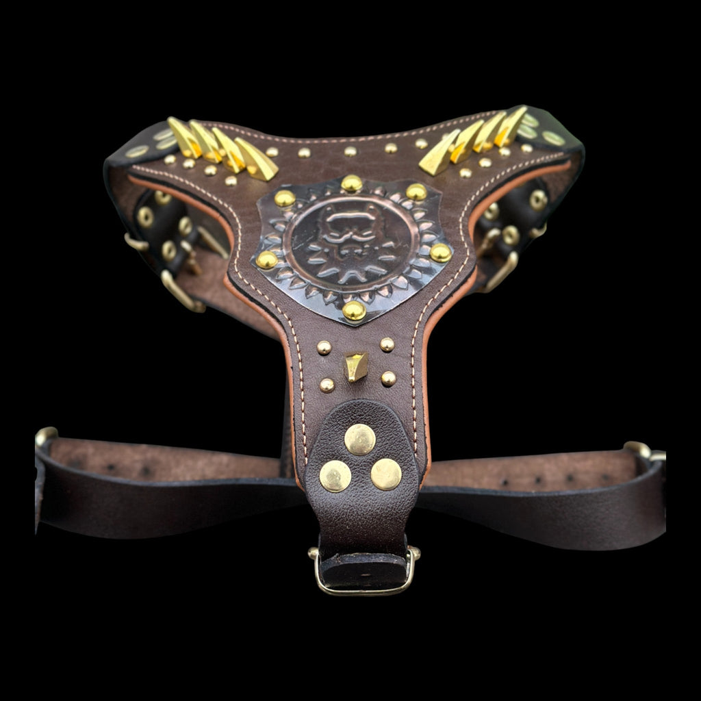 Brown Leather Dog Harness with Copper Engraved Logo & Gold Spikes – Handmade Chest Harness for Large Breeds - A&C Dog Collars