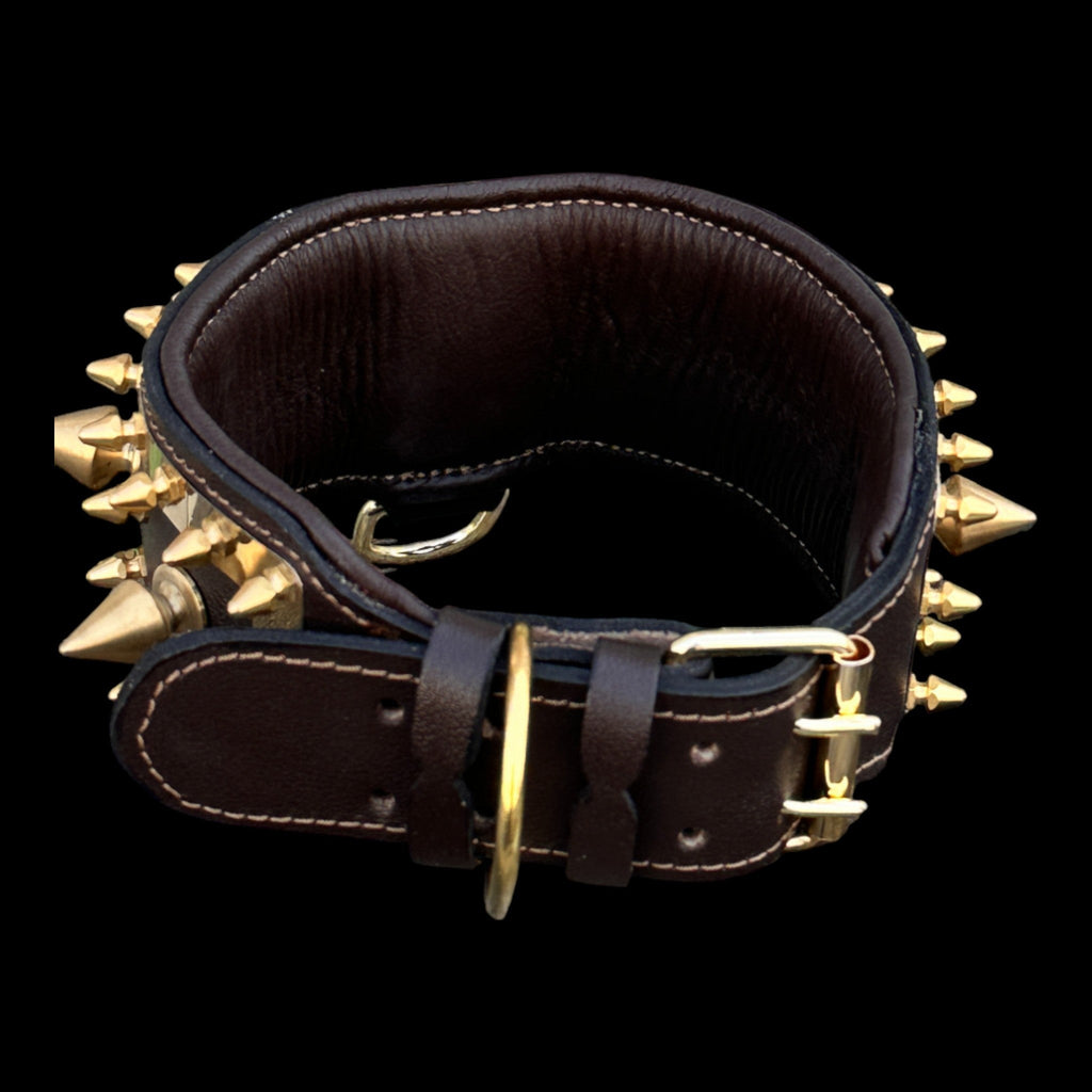 Golden Punisher Elite Dog Collar - A&C Dog Collars