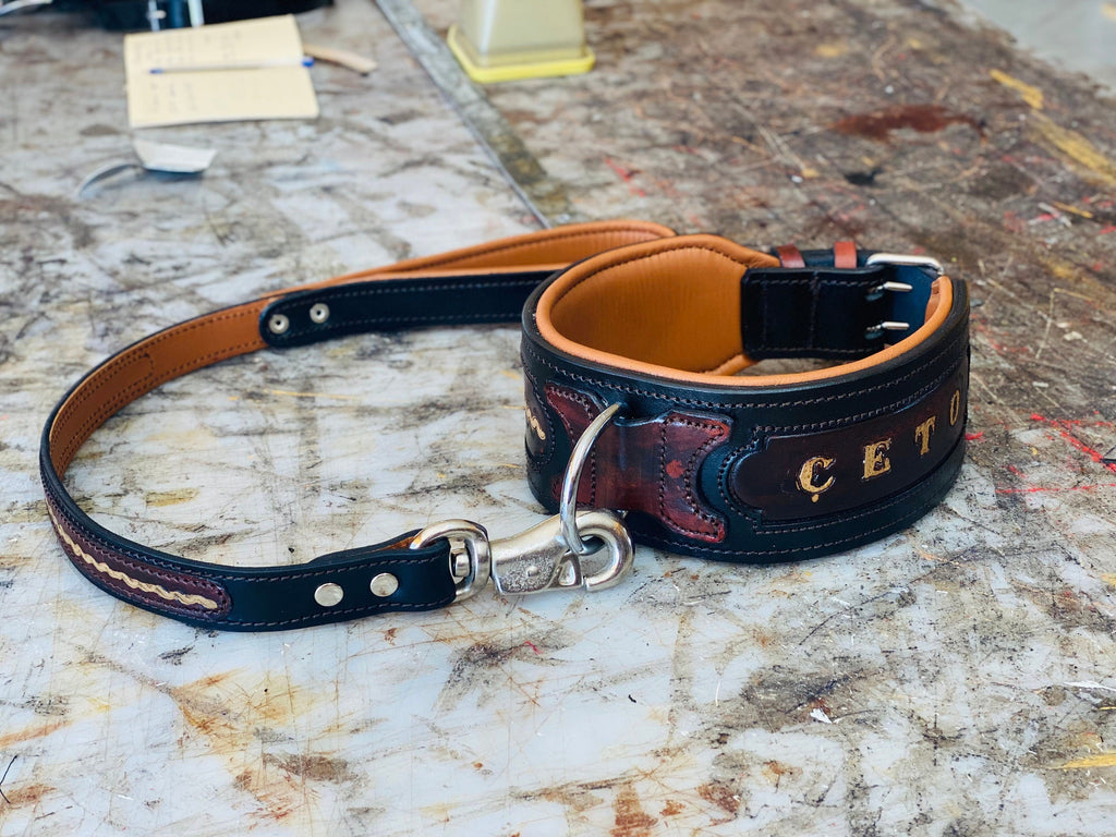 Handmade leather dog collar with custom engraved name plate from A&C Dog Collars, featuring a sturdy buckle and polished leather finish.