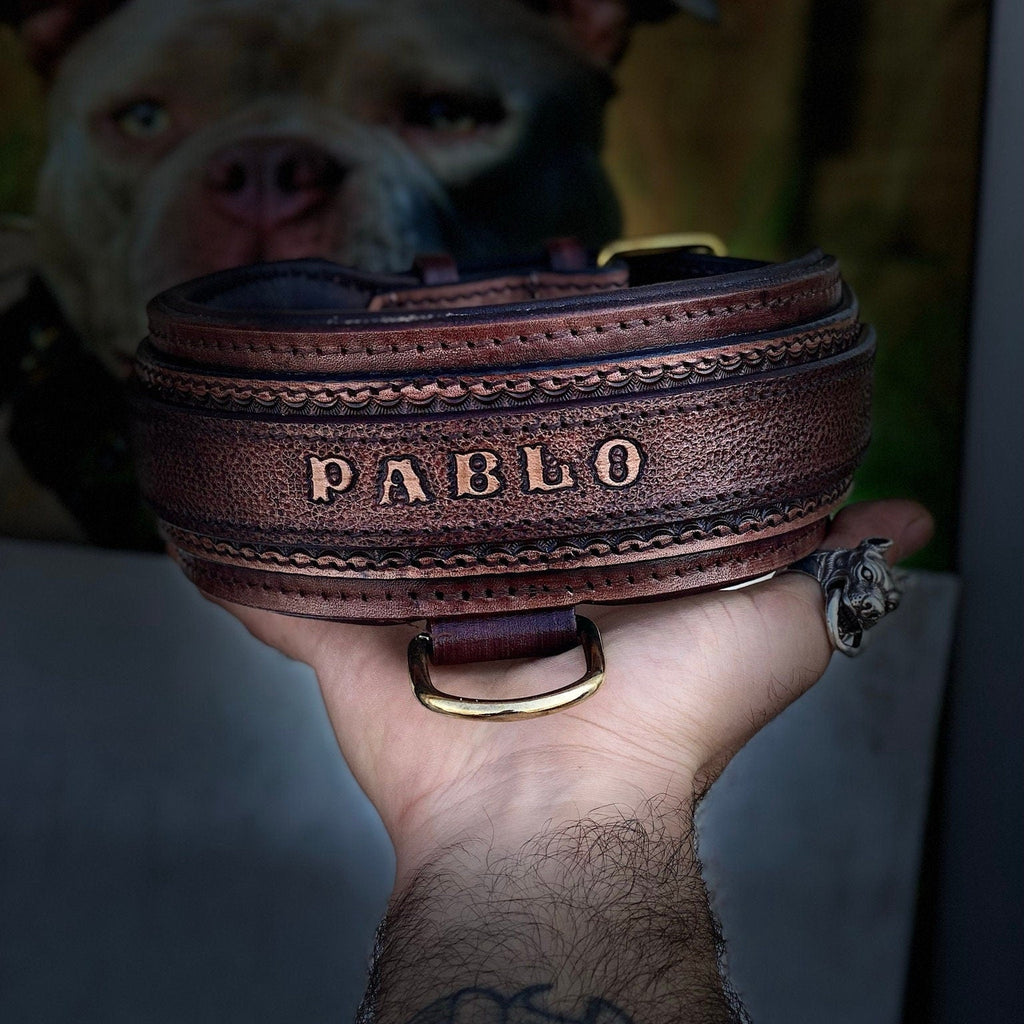 Handmade Buffalo Leather Dog Collar with Name Plate - Engraved Custom Collar - A&C Dog Collars