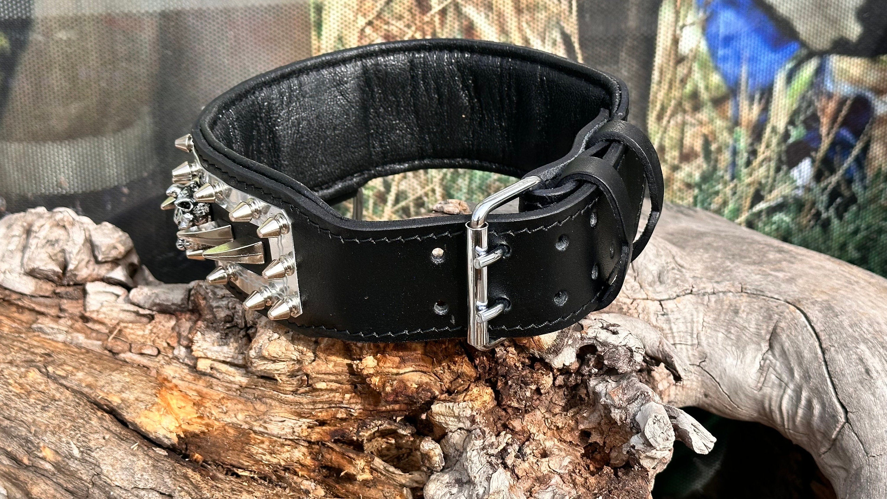 Handmade leather dog collar with engraved name plate from A&C Dog Collars, featuring a secure buckle and adjustable strap.