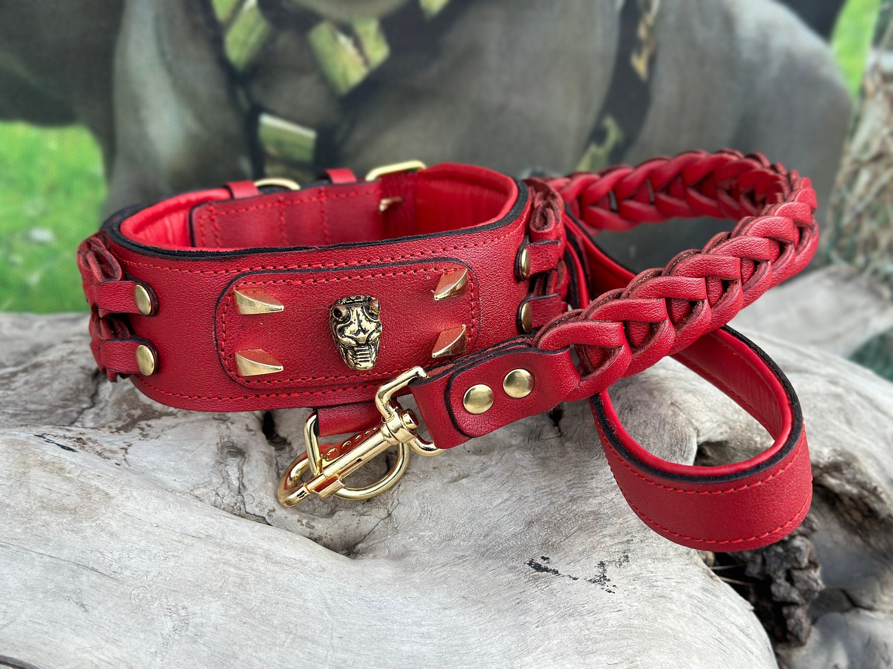 Handmade buffalo leather dog collar with custom engraved name plate from A&C Dog Collars, featuring durable leather and polished hardware.