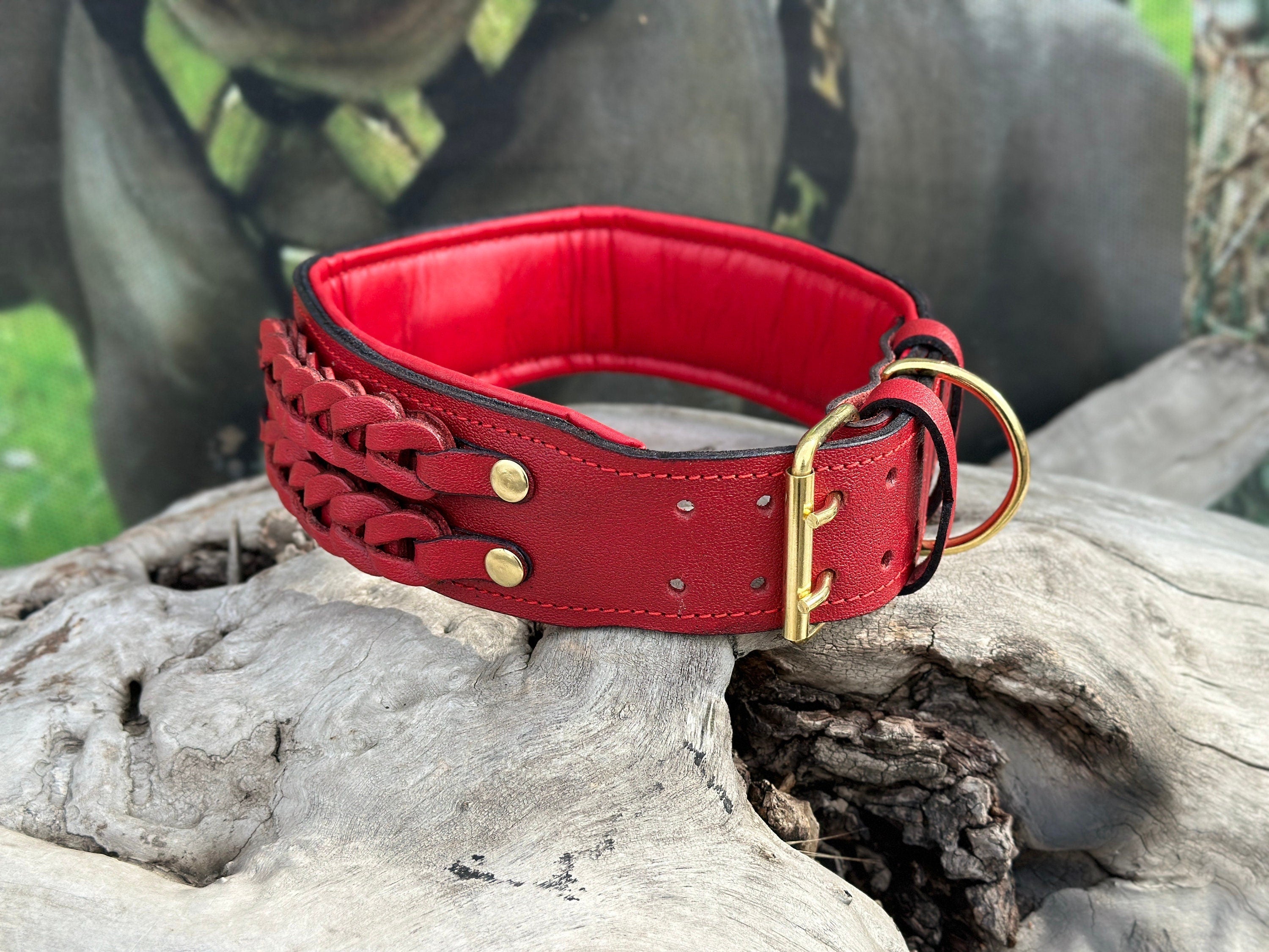 Handmade buffalo leather dog collar with custom engraved name plate and metal buckle, crafted by A&C Dog Collars.