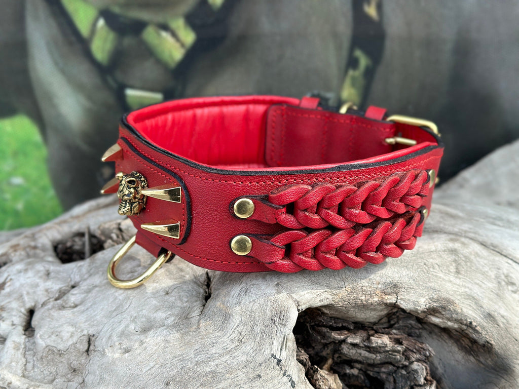 Handmade buffalo leather dog collar with custom engraved name plate from A&C Dog Collars, featuring adjustable strap and metal buckle.