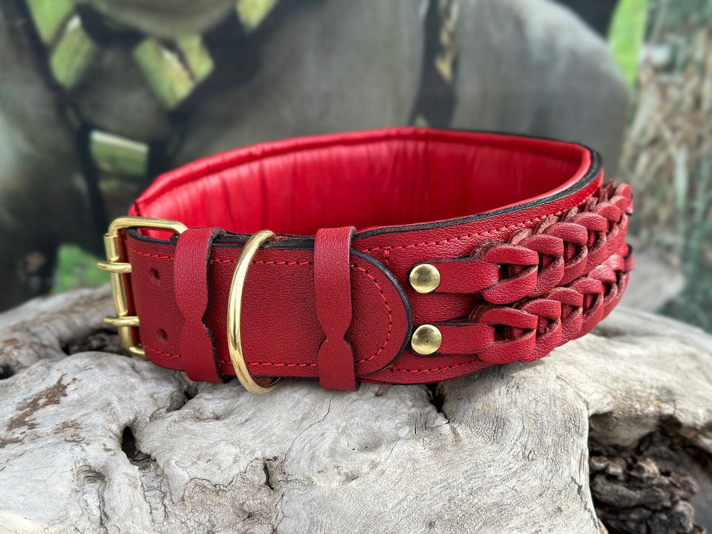 Handmade buffalo leather dog collar with custom engraved name plate, featuring durable leather and adjustable buckle by A&C Dog Collars.