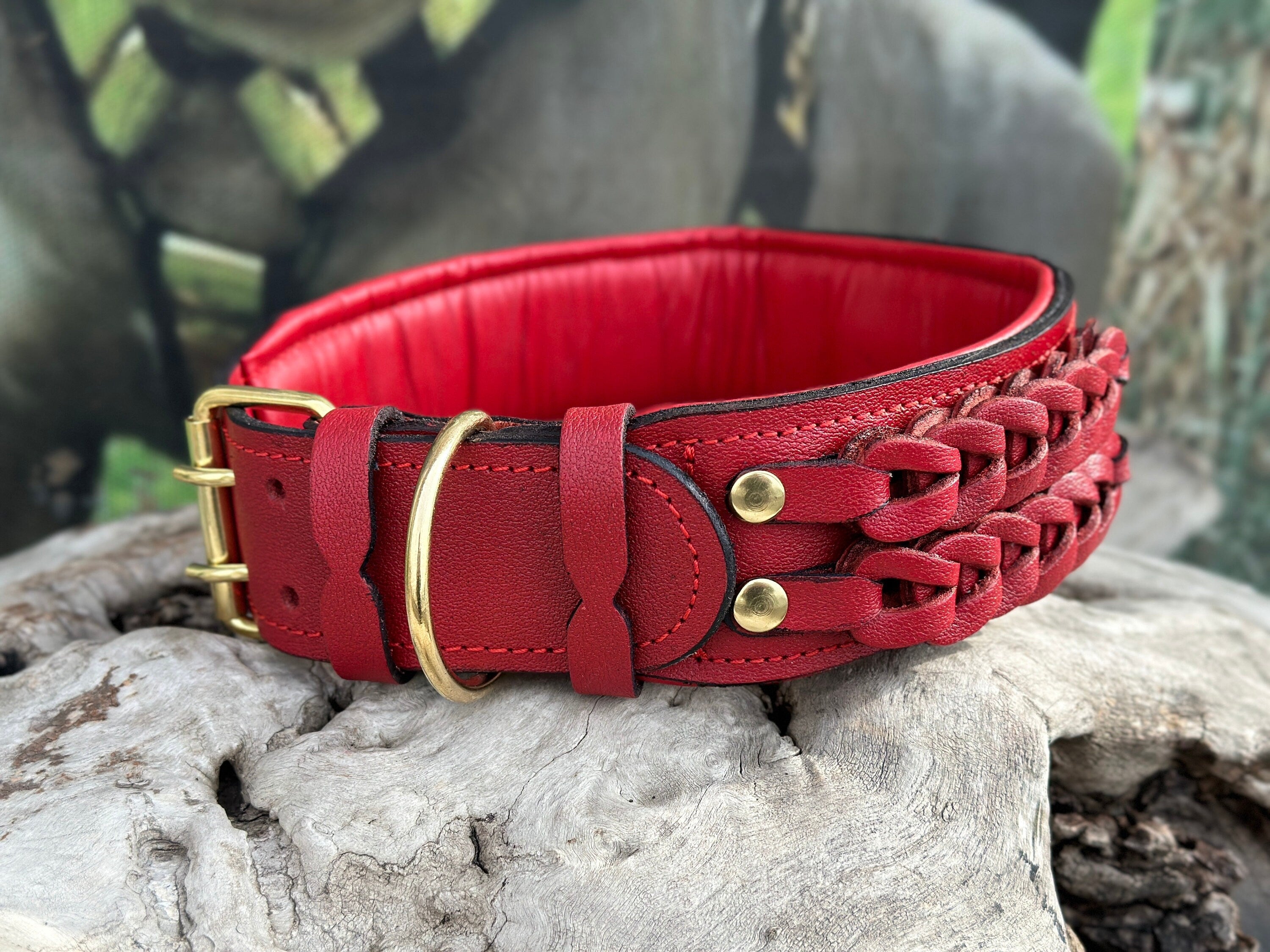 Handmade buffalo leather dog collar with custom engraved name plate, featuring durable leather and adjustable buckle by A&C Dog Collars.